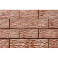 Клинкер Cerrad Radonit CER 22 17351