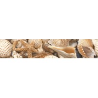Kерамическая плитка Golden Tile Sea Breeze Фриз Shells 300х60