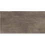 Керамічна плитка Golden Tile Kendal Стіна/Підлога коричневий 307х607