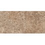 Kерамическая плитка Golden Tile Lorenzo Стена темно-бежевый 300х600