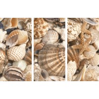 Kерамическая плитка Golden Tile Sea Breeze Декор Shells 300х600