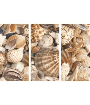 Керамічна плитка Golden Tile Sea Breeze Декор Shells бежевий 300х600