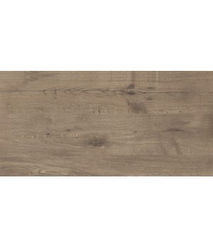 Керамограніт Golden Tile Terragres Alpina Wood коричневий 307х607