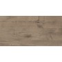 Керамогранит Golden Tile Terragres Alpina Wood коричневый 307х607