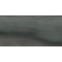 Керамограніт Almera Ceramica (Spain) Ec.Seattle Silver 60х120 см