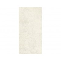 Плитка APE Mito Pearl 25x50