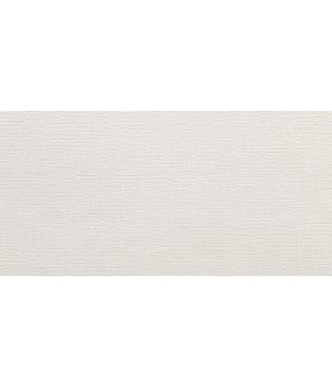 Kерамическая плитка Argenta Toulouse White 500×250