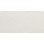 Kерамическая плитка Argenta Toulouse White 500×250