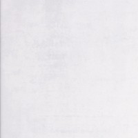 Kерамическая плитка Argenta Zeppelin Silver 450×450
