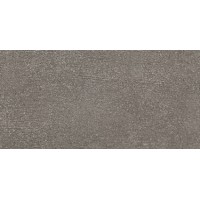 Kерамическая плитка Argenta Bronx Iron 500×250