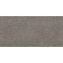 Kерамическая плитка Argenta Bronx Iron 500×250