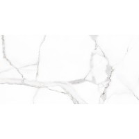 Kерамическая плитка Cicogres Alsacia PORC RECT 1200×600×10