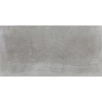 Плитка 45*90 Es.essen Gris Pamesa
