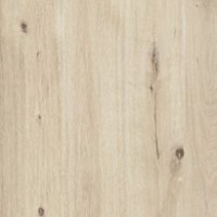 Плитка 60*60 Woodtale Xt20 Betulla Rett R4Xf Ragno