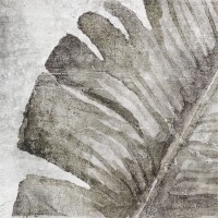 Плитка 13,8*13,8 Amazonia Tropic Grey ZYX
