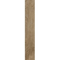 Плитка 15*90 Woodchalet Gold Ragno