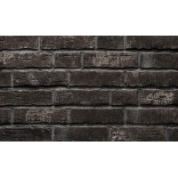 Клінкерна Плитка 7,1*24 Steinlinge Platinschwarz 7370.376 Ströher