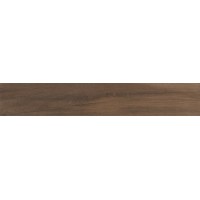 Плитка 20*120 Woodplace Caffe R49A Ragno