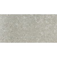 Плитка 60*120 Cr Ceppo Gris Leviglass Pamesa
