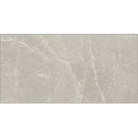 Плитка 60*120 Exalt Silver Light Lucido 760032 Cerim