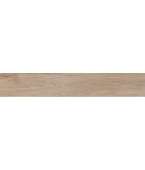 Плитка 20*120 Woodplace Bianco Antico R48Z Ragno