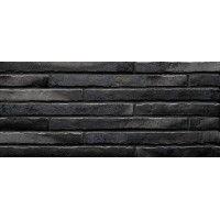 Клінкерна Плитка 4*49 Riegel Silver-Schwarz 7753.s453 Ströher