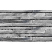 Клінкерна Плитка 4*49 Riegel Silber-Grau 7756.452 Ströher