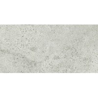 Керамограніт Opoczno Grand Stone Newstone LIGHT GREY 29,8X59,8 G1