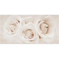 Kерамическая плитка Opoczno Camelia INSERTO FLOWER 29,7X60
