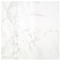 Керамогранит Pamesa Atrium At. Attas Blanco 608x608x10